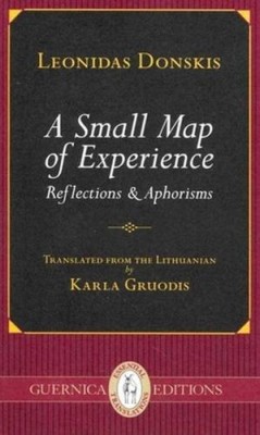Mažasis patirties žemėlapis: refleksijos ir aforizmai